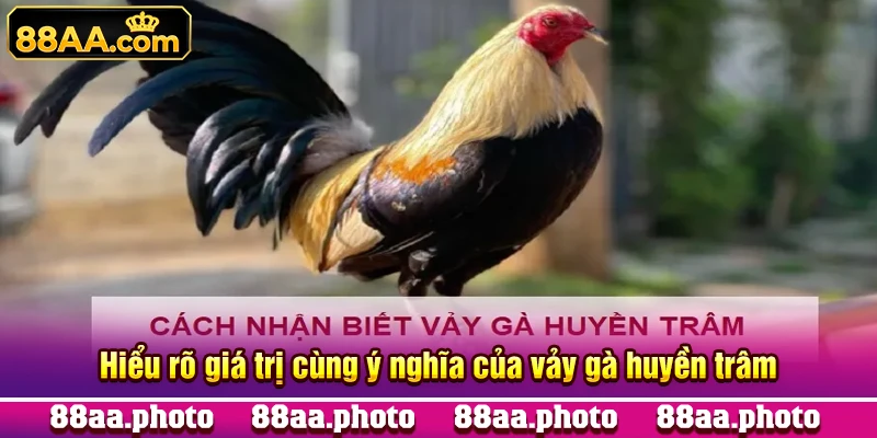 Hiểu rõ giá trị cùng ý nghĩa của vảy gà huyền trâm