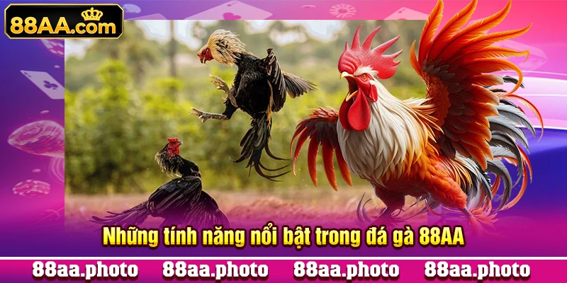 Những tính năng nổi bật trong đá gà 88AA